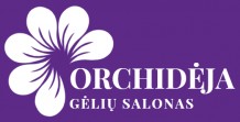 Mini Orchidėja